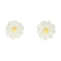 Preview: Sugar Decoration - White Daisies